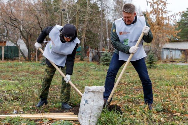 Сбережем лес вместе