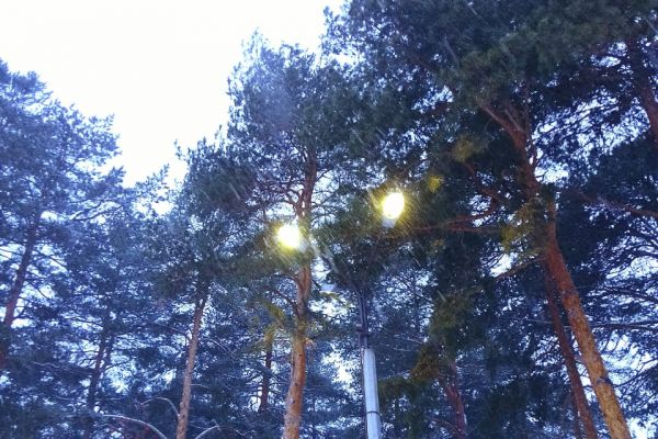 В помощь детскому саду